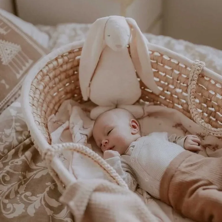 Kosz Mojżesza Ahojbaby z Materacykiem