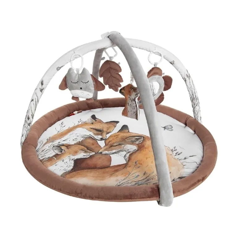 Mata edukacyjna Fox