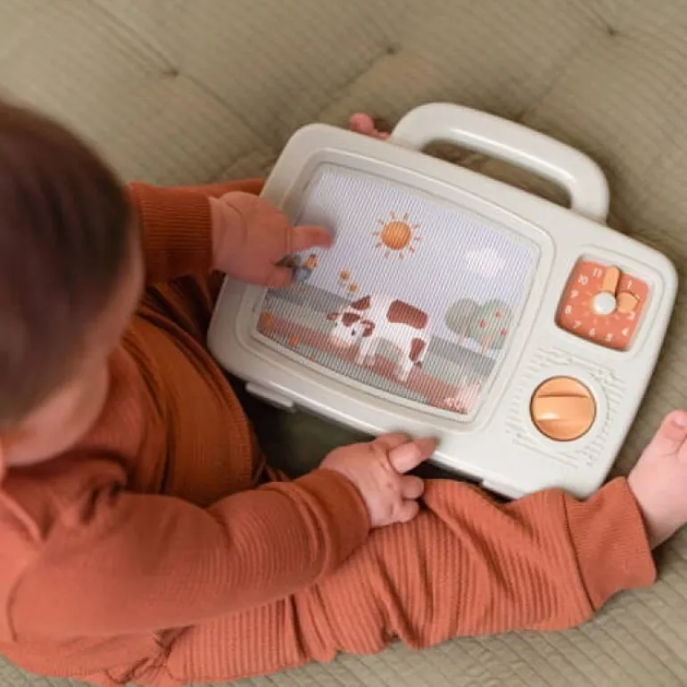 Musical TV Little Farm