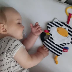 Szeleścik Sensoryczny Kot Pasiak